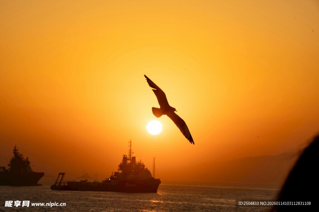 夕阳下飞鸟与海上船只