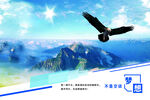 雄鹰翱翔于壮丽山水间