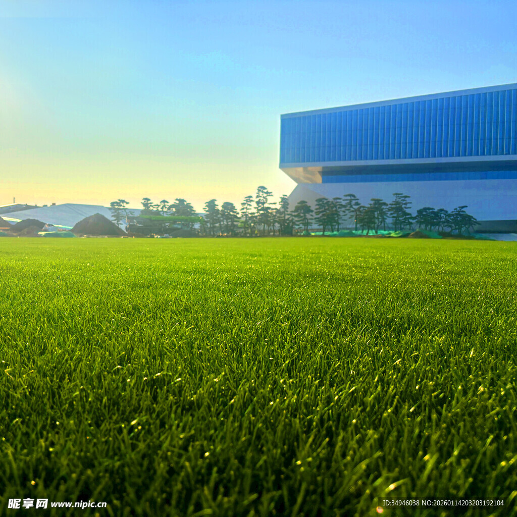 广阔绿地旁的现代建筑