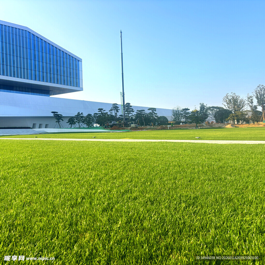 绿茵场旁的现代建筑景观