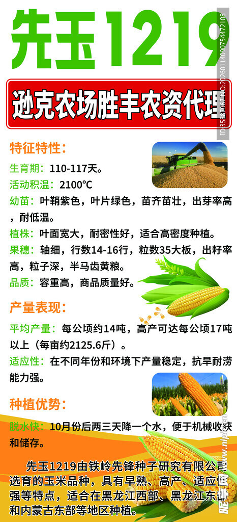 玉光1219玉米种子