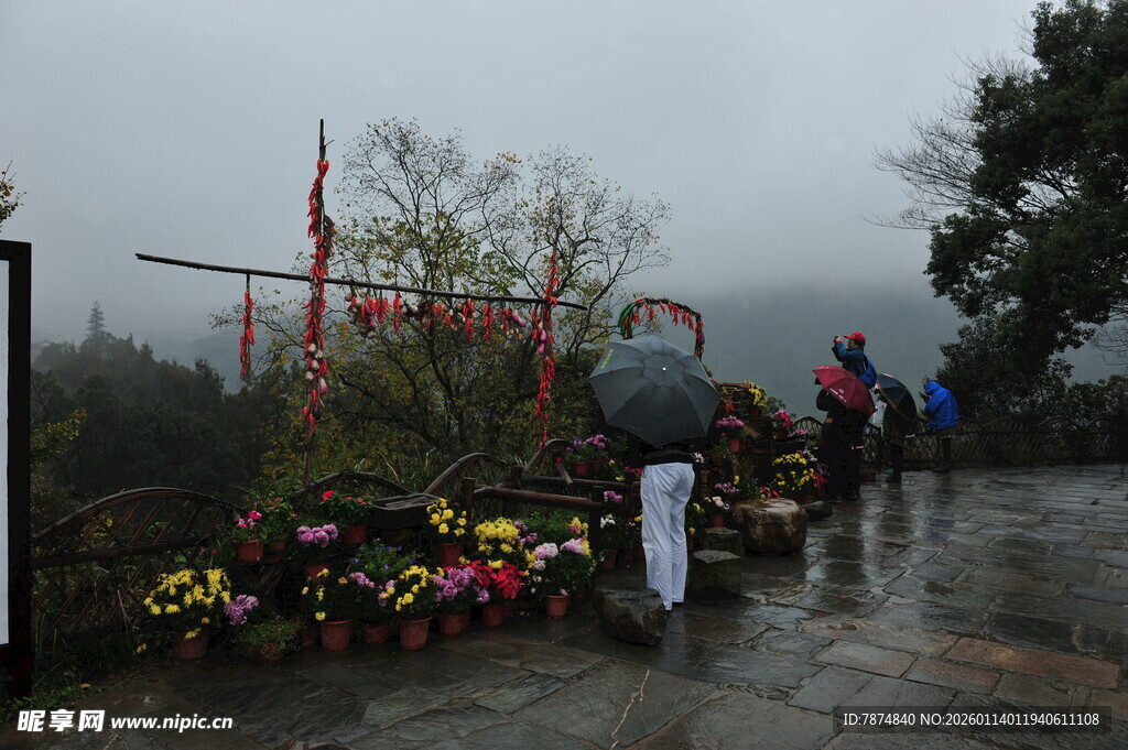 雨中花祭场景