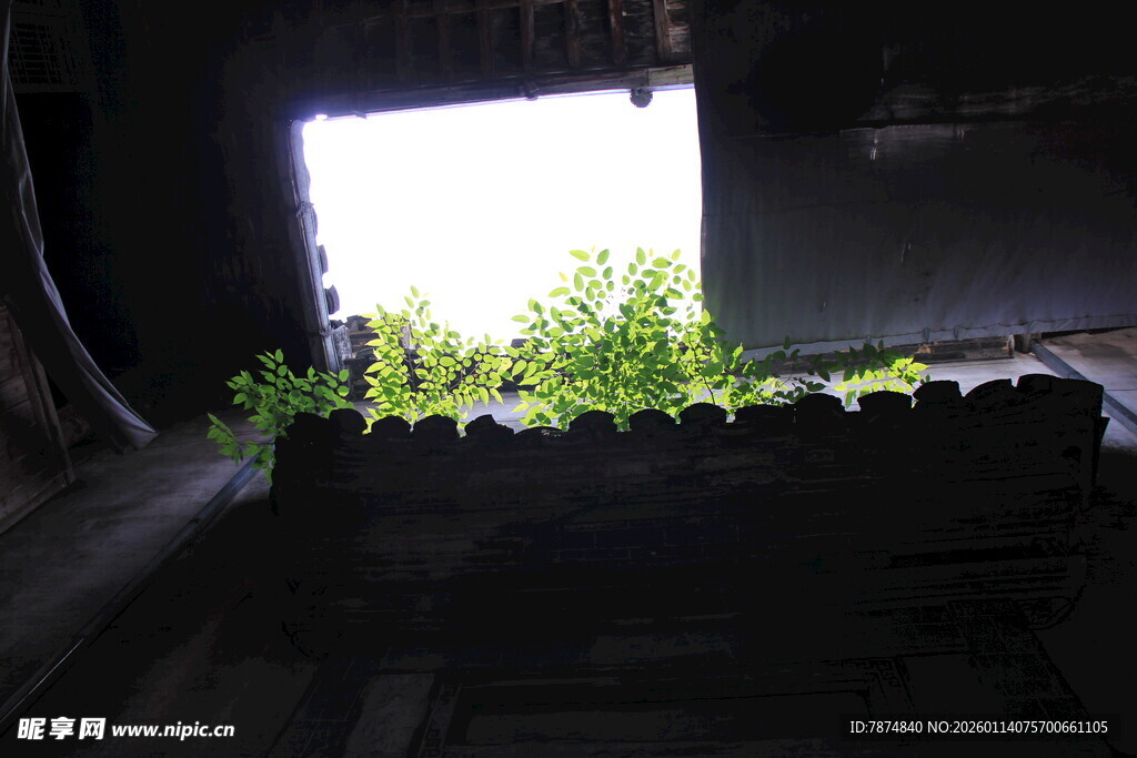 破旧窗口透出绿意生机