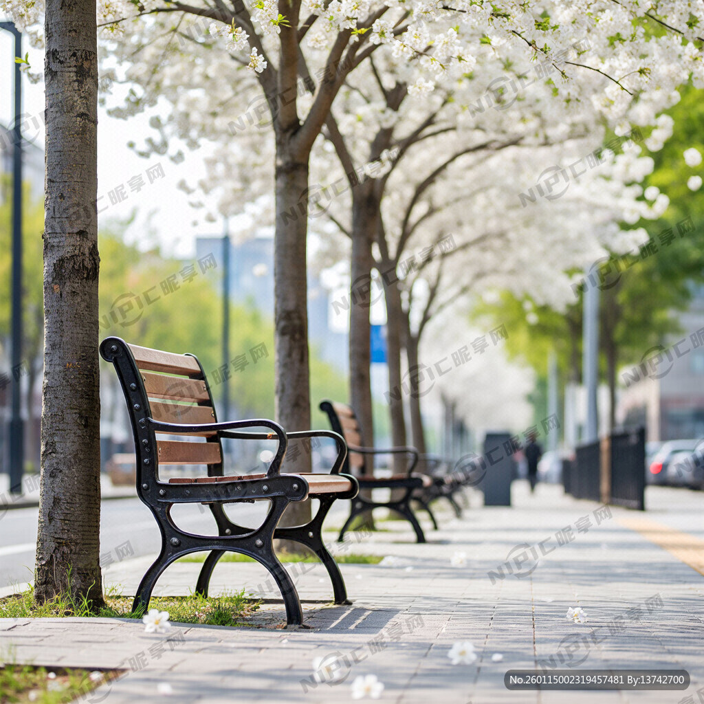 路边供休息的椅子 有树