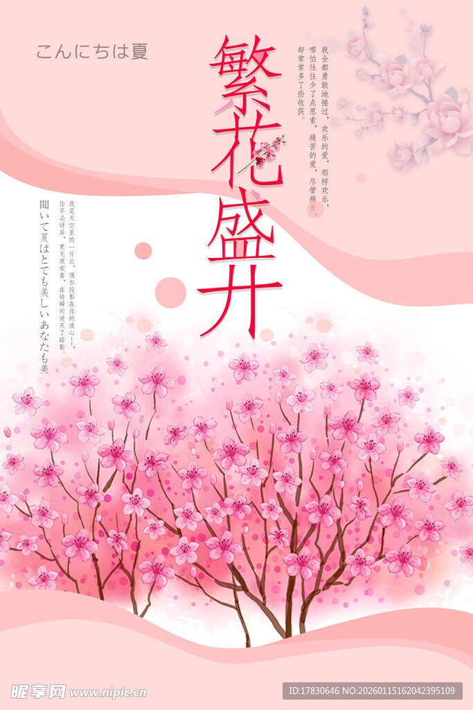 粉色繁花盛开美景图