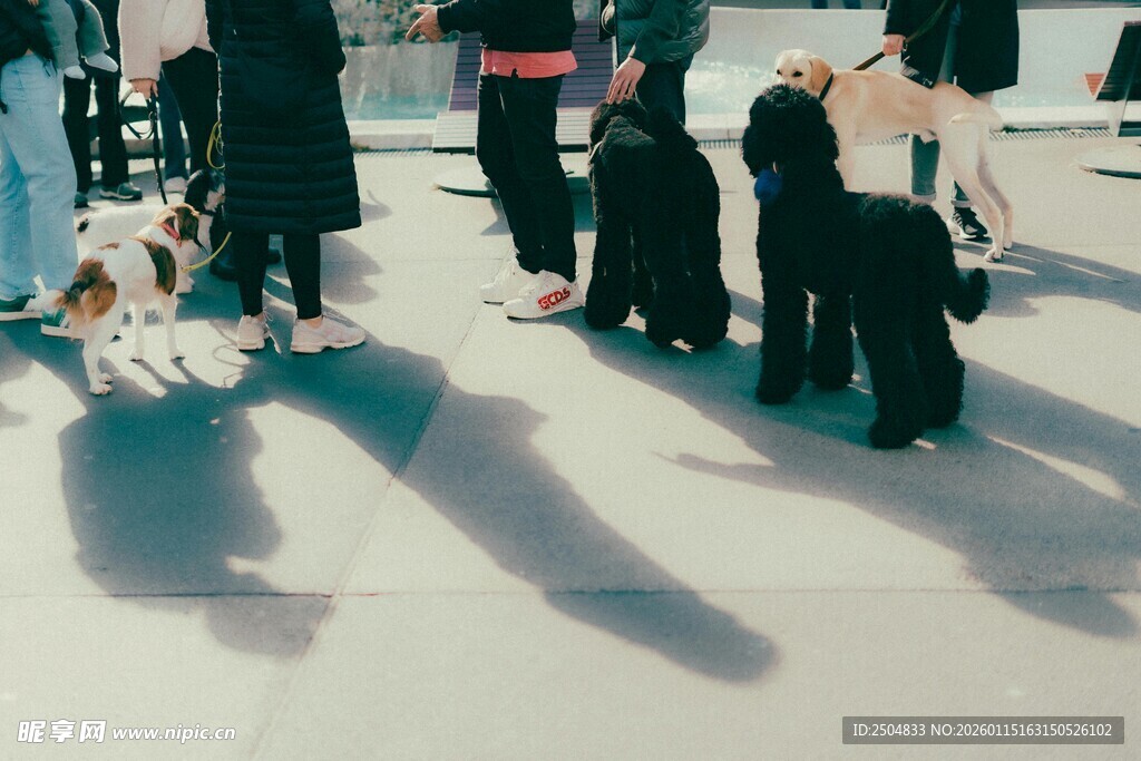 人群聚集的户外场景