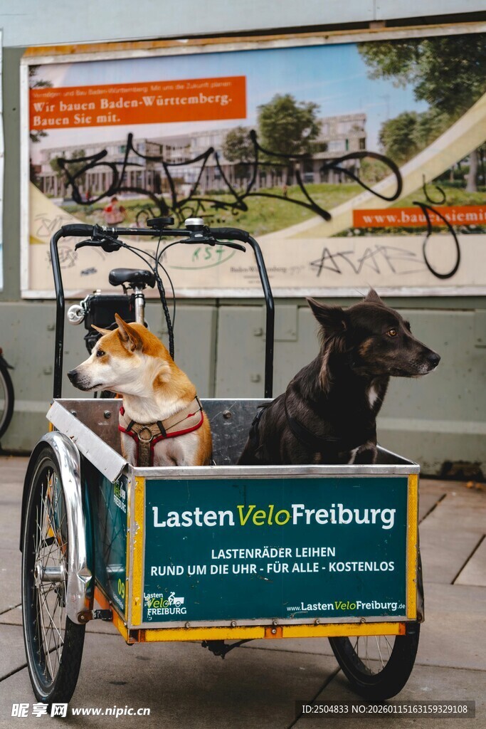 伦敦街头的复古自行车景观