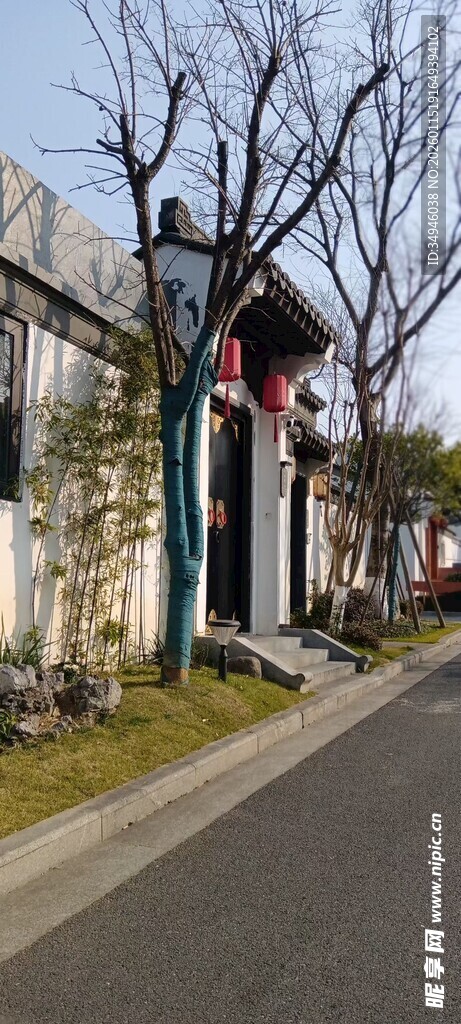 宁静街道旁的中式建筑景象