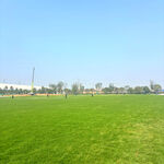 广阔绿草地与蓝天景象