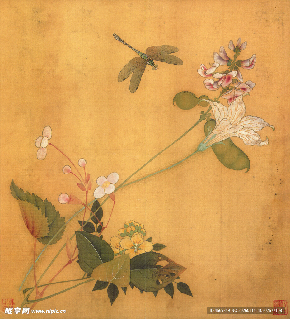 古画中的蜻蜓与花卉