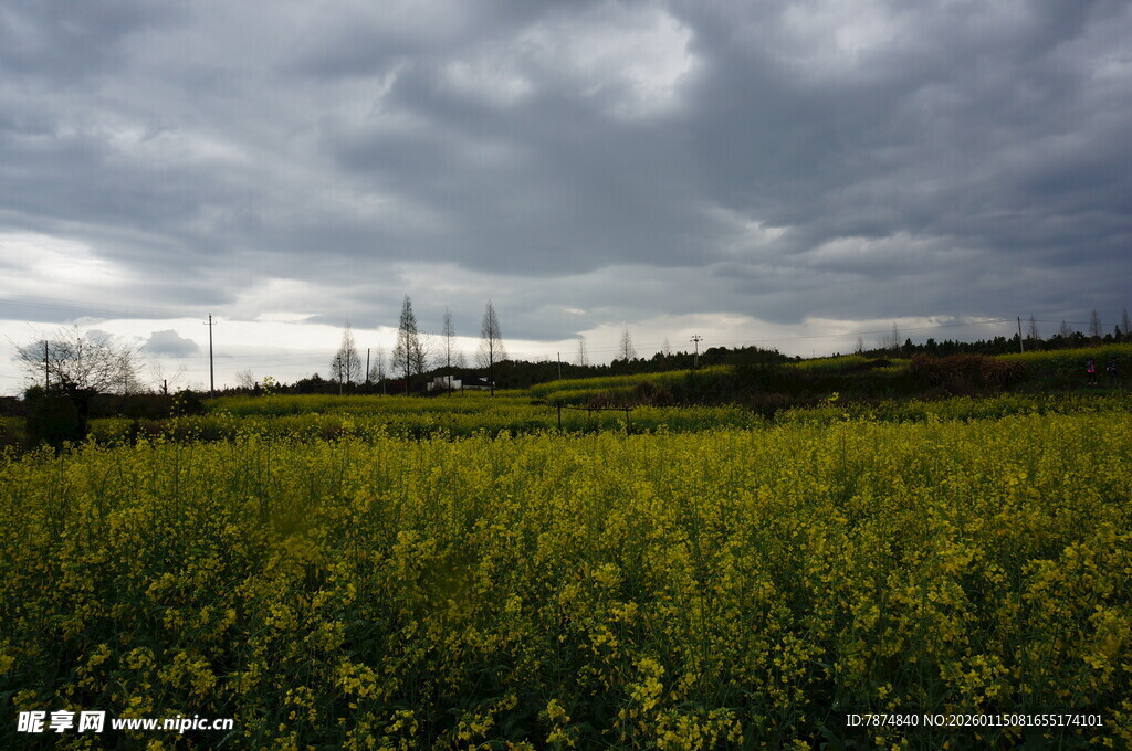 田野上的阴云与电力设施
