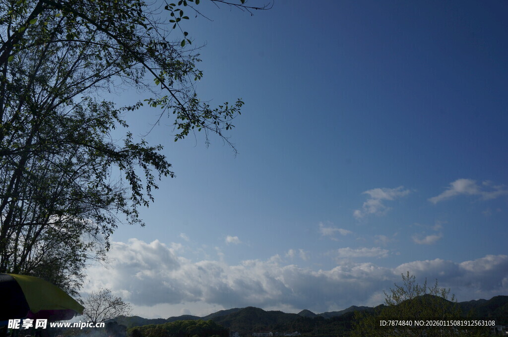 蓝天绿树间的自然景致