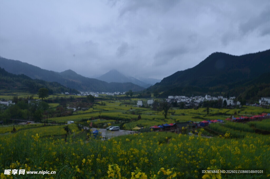 山间花海村落 云雾美景