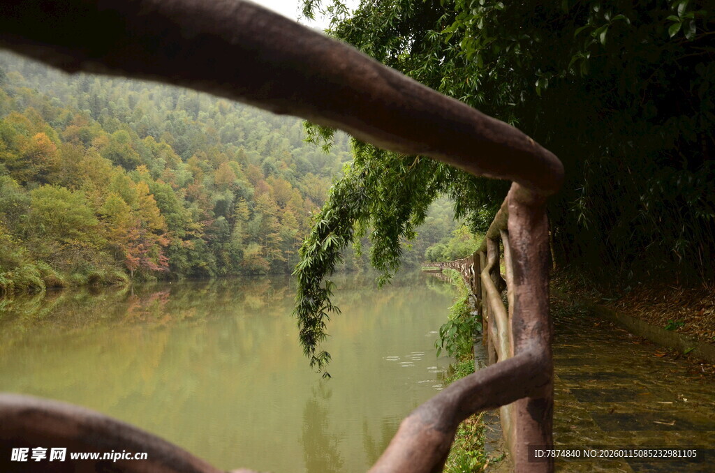 河畔木栏 自然静谧之景