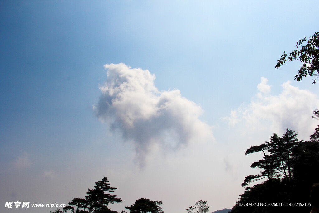蓝天绿树间的云朵美景