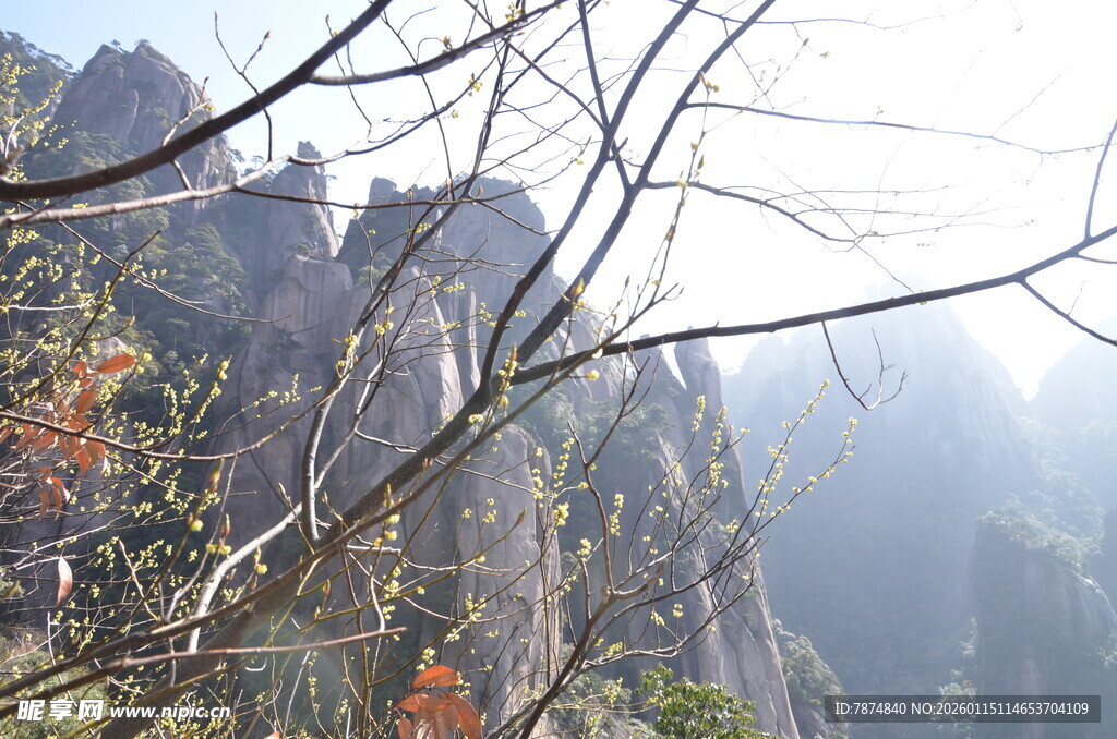 壮丽山峰自然美景画面