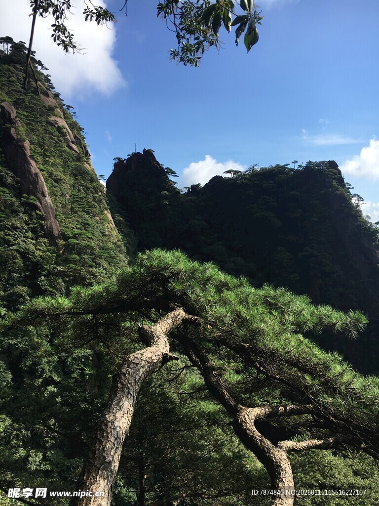 山间绿意盎然的自然景致