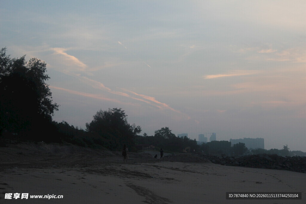 黄昏下的空旷道路与树木