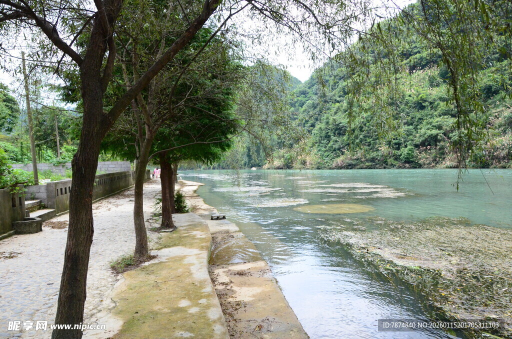 河畔绿树成荫的秀丽风光