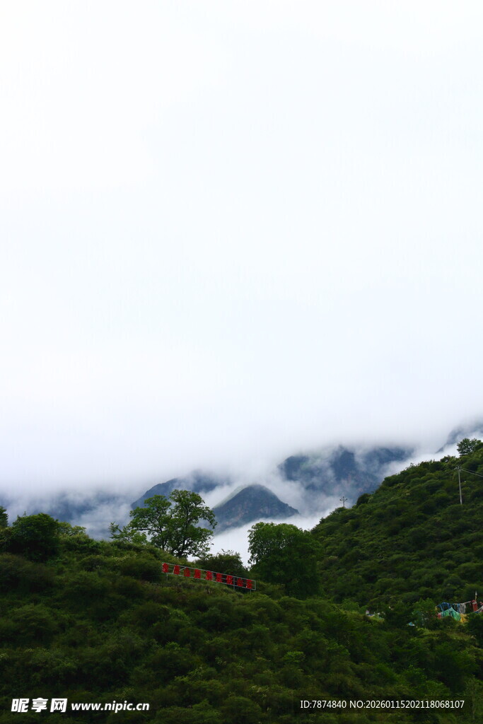 山间云雾缭绕的翠绿景致