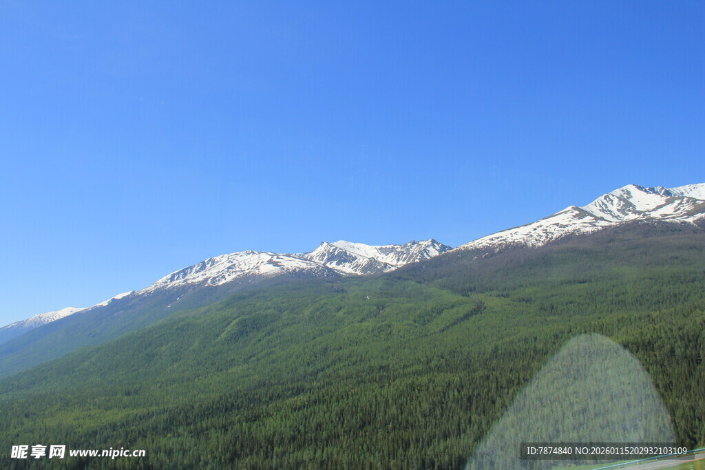 雪山下的葱郁山林