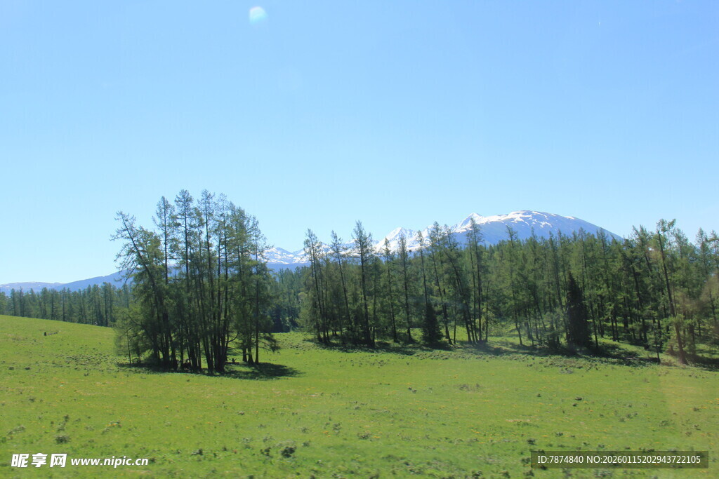 草原绿树与远处雪山风景