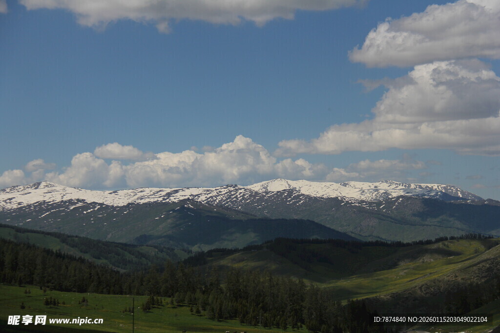 雪山下的葱郁山林美景