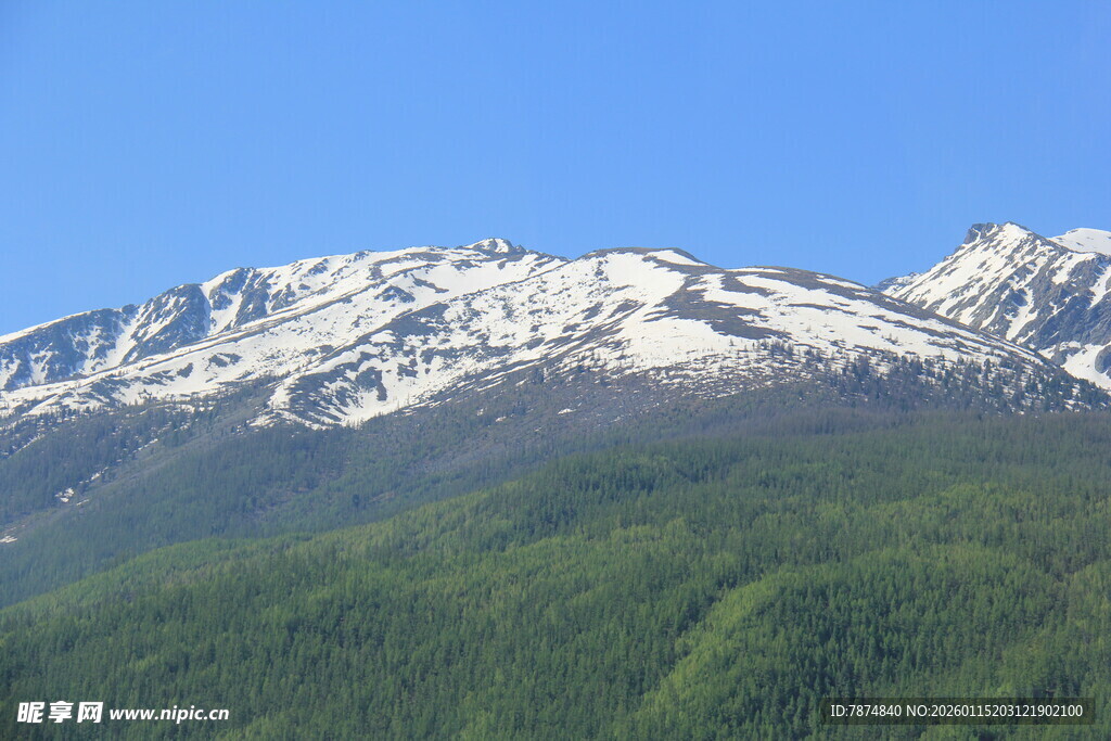 雪山下的翠绿山林