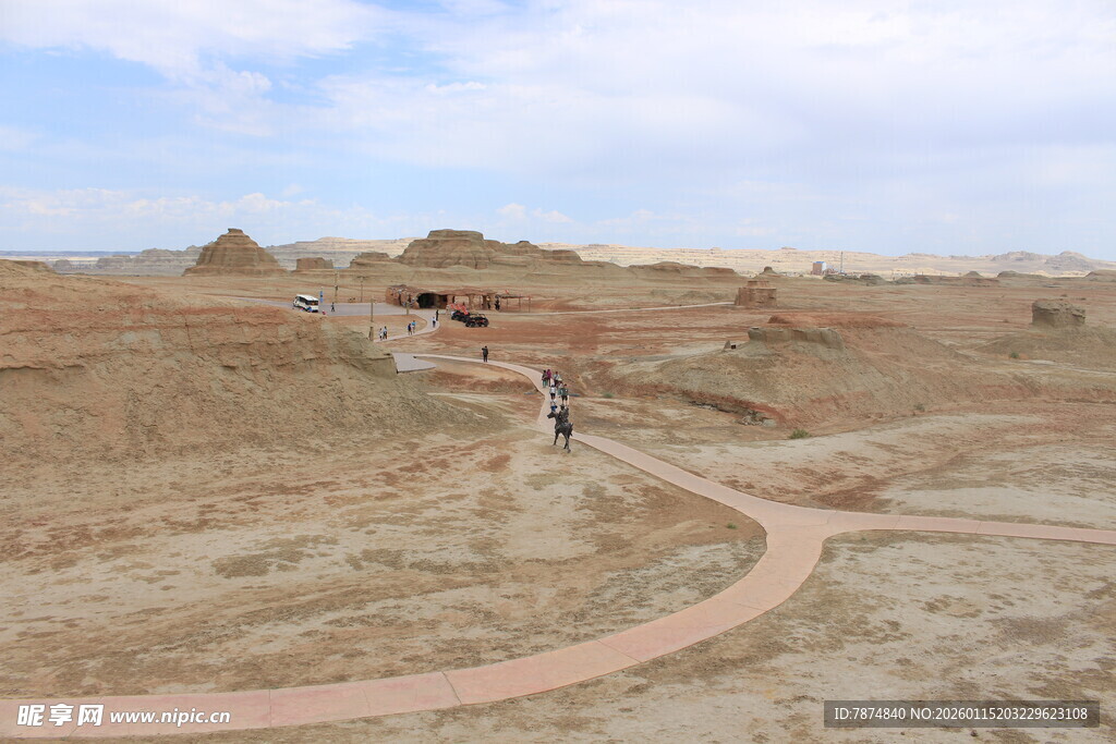 荒漠中的蜿蜒小径
