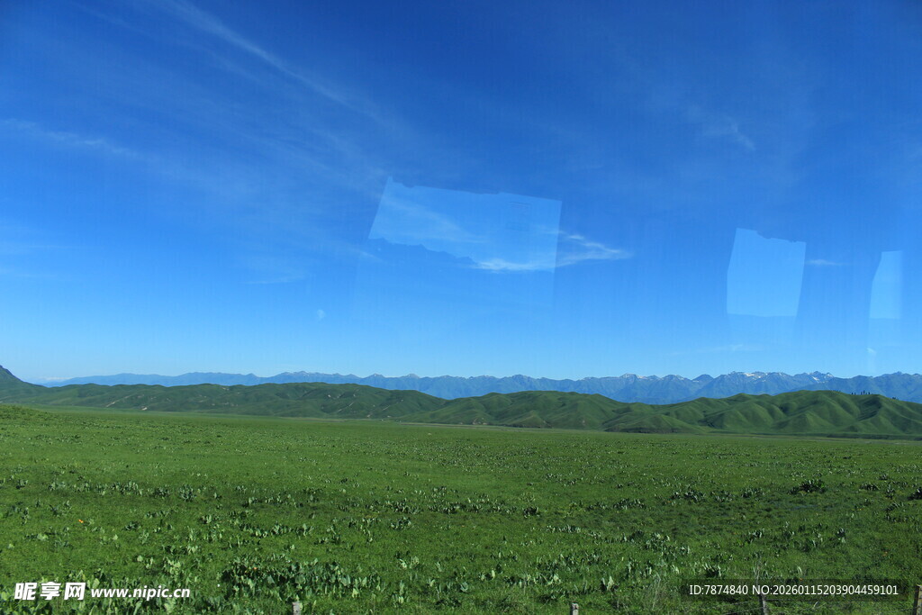 广袤绿野上的晴朗蓝天