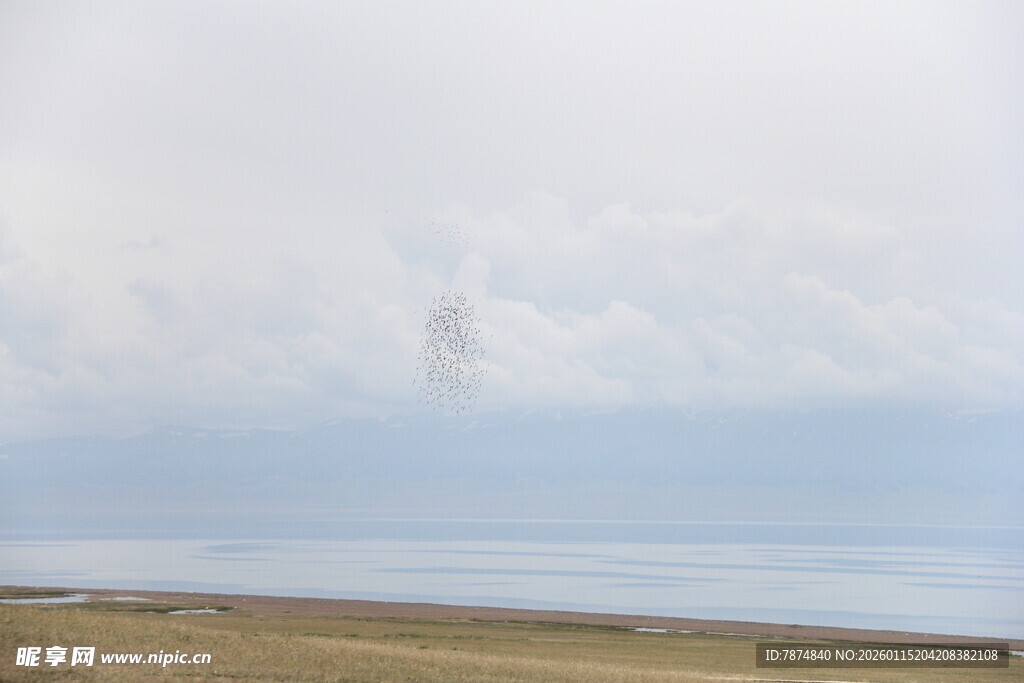 海边沙滩与朦胧天际景观