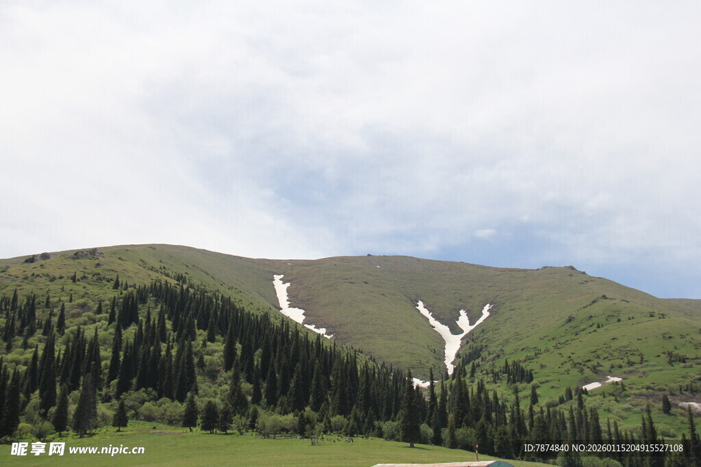 山间雪痕与葱郁林木