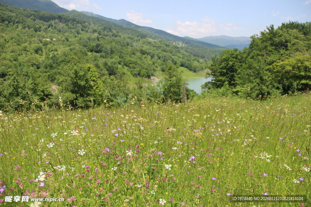 山间花海 绿野风光