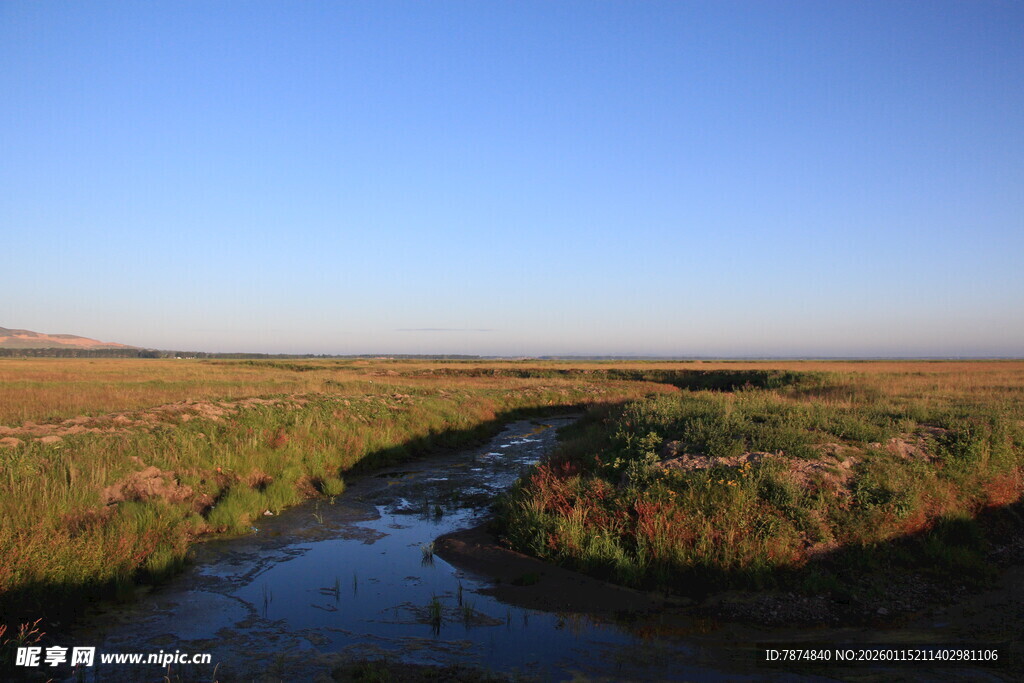 湿地风光 静谧小河穿草地