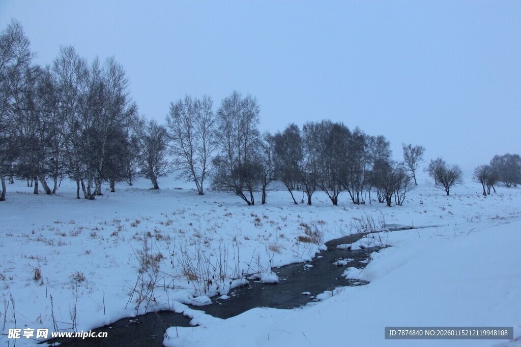 冬日雪景中的河流与树木