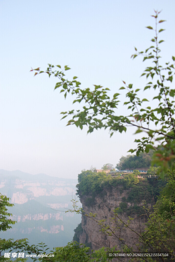 悬崖边绿意盎然的景致