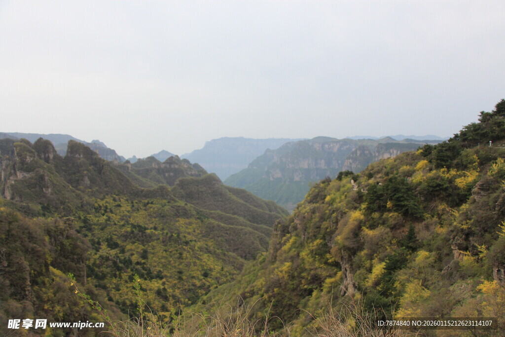 山间美景 绿意盎然的山谷