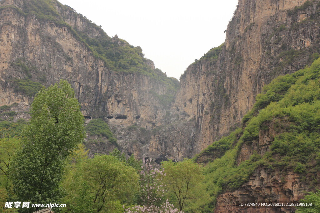 壮丽峡谷间的葱郁景致