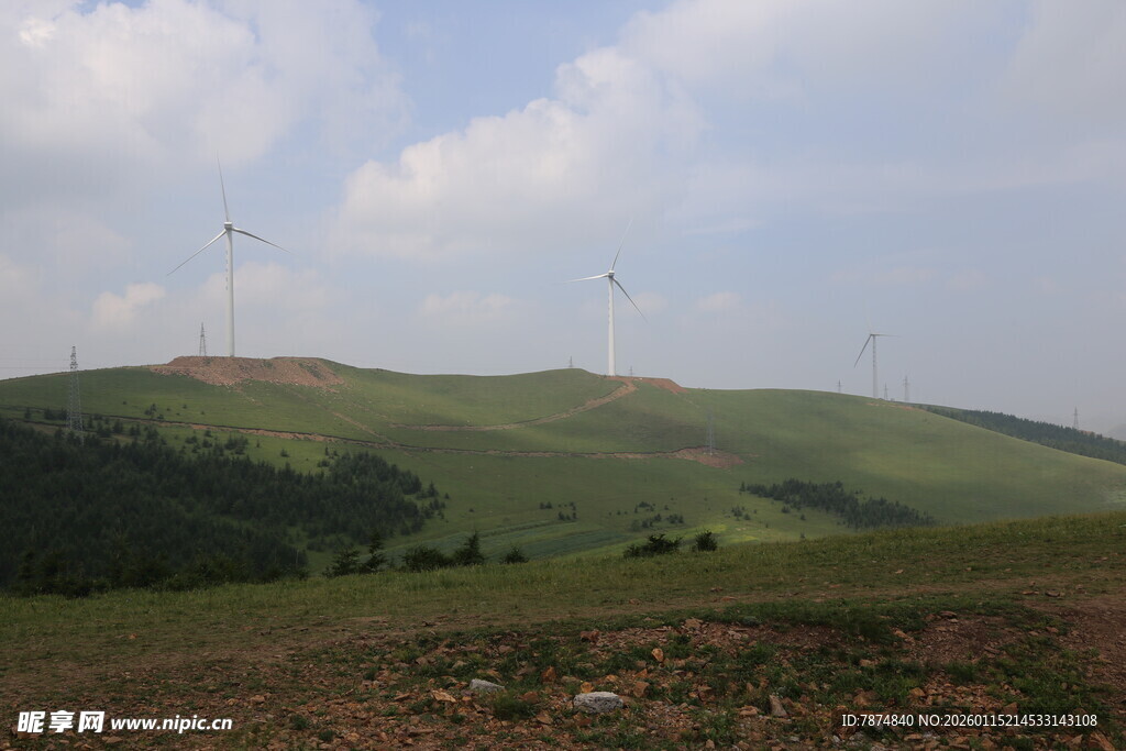 草原上的风力发电机组