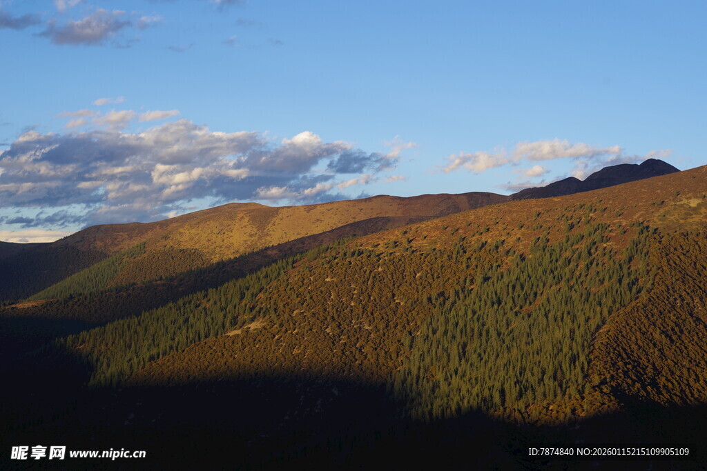 山间美景 秋日山林风光