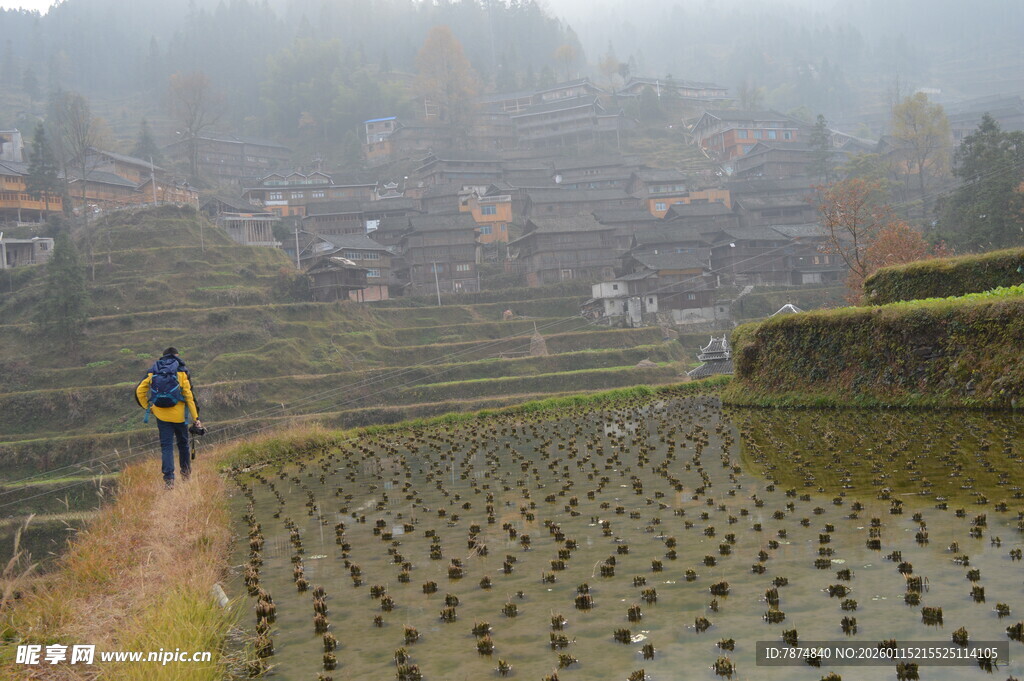 雾中稻田的独行者
