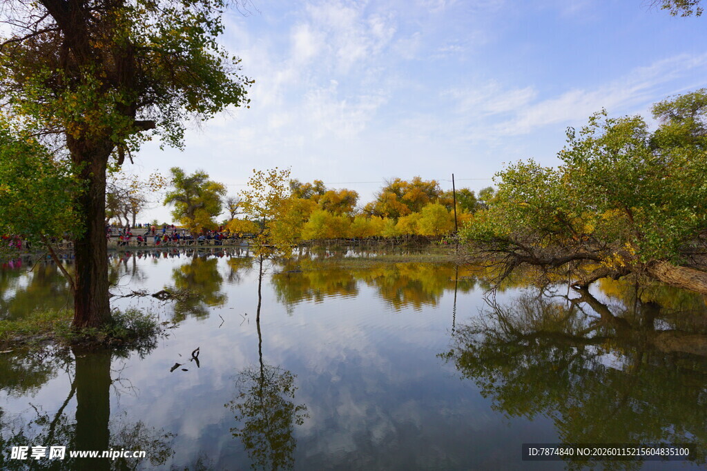 湖畔绿树倒映的静谧风光