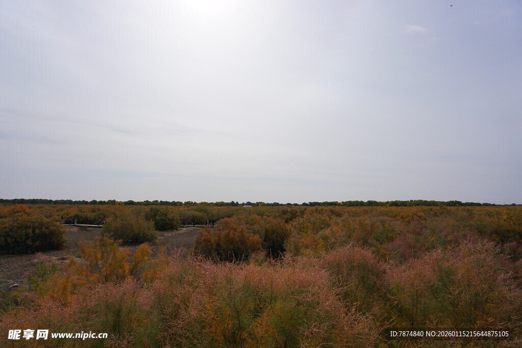 广袤原野上的自然景致