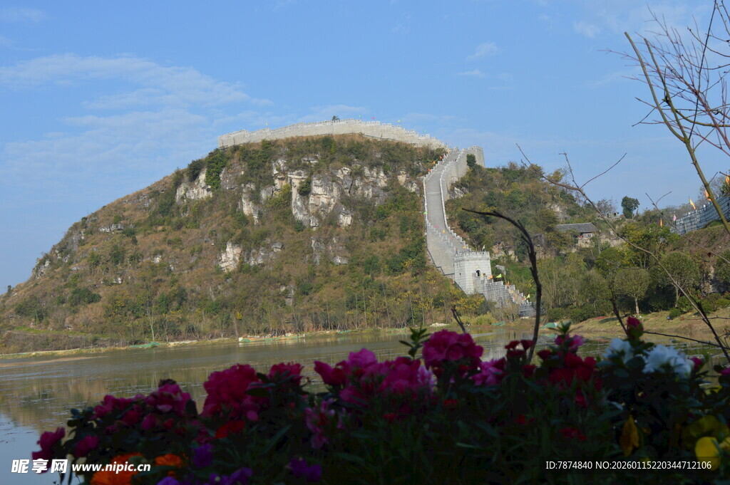 山景前绚丽多彩的花丛