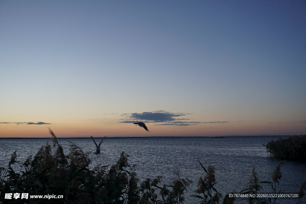 黄昏湖畔飞鸟的静谧之景