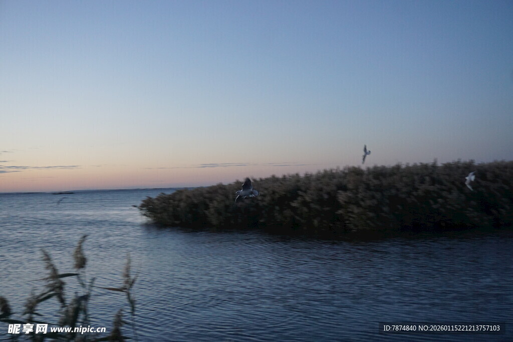 黄昏下的宁静水边景色