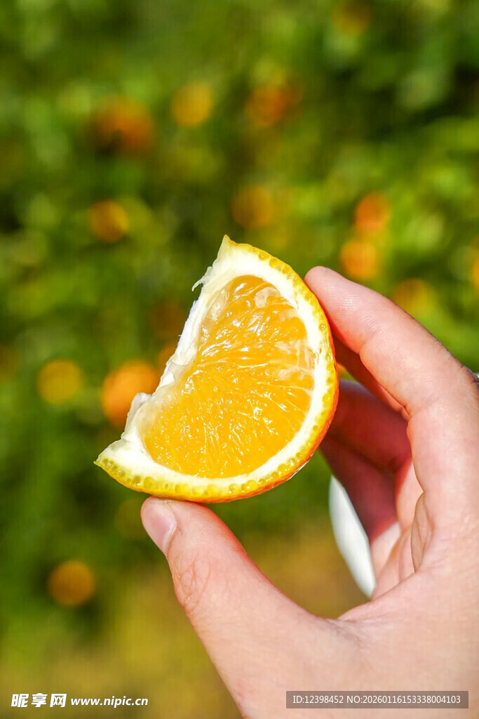 手捧鲜切橙子特写