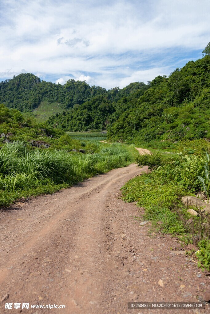 山间土路 绿意盎然的风景