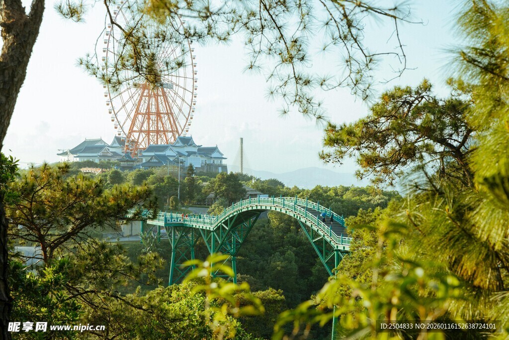 透过树林看 乐设施