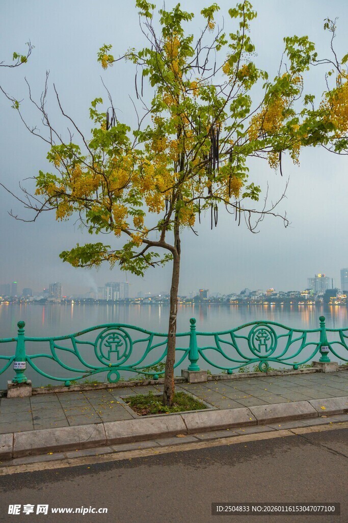 路边绿树下的湖景风光